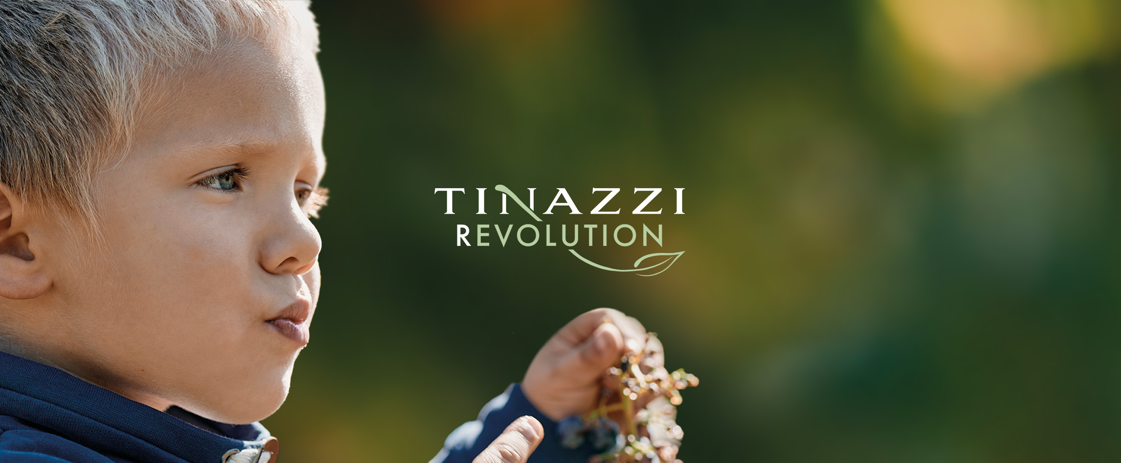 tinazzi-revoluition-banner-home