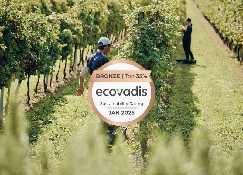 Cantine Tinazzi al Top della Sostenibilità: La Medaglia di Bronzo EcoVadis È Solo l’Inizio!